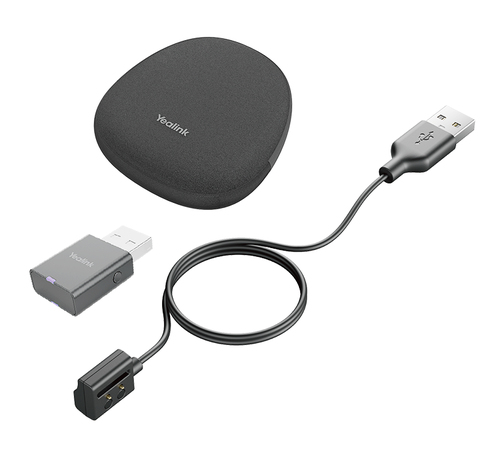 Portable Accessory Kit WH62/WH66. DECT Dongle WDD60+Charging Cable for WHD622/WHM621 + Carry Bag